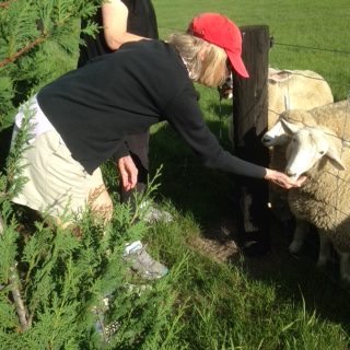 Carol Kirtz pets a sheep in New Zealand