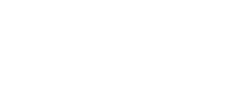 Boston Cultural Council