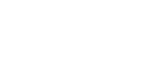 Boston Cultural Council